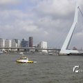 IMG_1382966