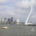IMG_1382968