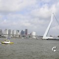 IMG_1382972