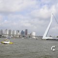 IMG_1382973