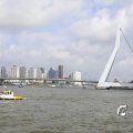 IMG_1382975