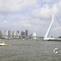 IMG_1382976