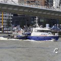 IMG_1383010