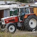 IMG_1393112