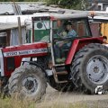 IMG_1393181