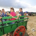 IMG_1393648