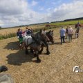 IMG_1393650