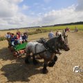 IMG_1393651