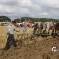 IMG_1393919