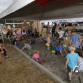 IMG_1394049