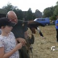 IMG_1394054