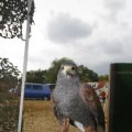 IMG_1394072