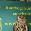 IMG_1394083
