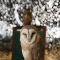 IMG_1394088