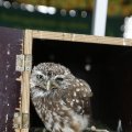 IMG_1394092