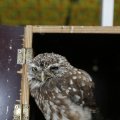 IMG_1394093