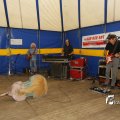 IMG_1394136