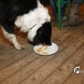 IMG_1394440