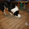 IMG_1394441