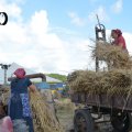 DSC464_17.09.2016