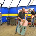 DSC536_17.09.2016