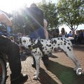 IMG_1395091