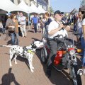 IMG_1395101
