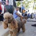 IMG_1395284