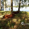 20161006_120427