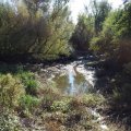 20161006_121702