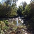 20161006_121707