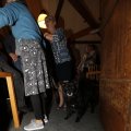 IMG_1396392