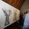IMG_1396412