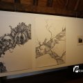 IMG_1396425