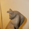 IMG_1396430