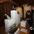 IMG_1396503