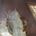 IMG_1396511