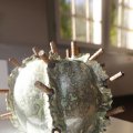 IMG_1396512