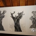 IMG_1396514
