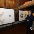 IMG_1396537