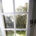 IMG_1396590