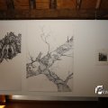 IMG_1396592