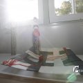 IMG_1396595