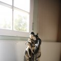 IMG_1396599