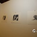 IMG_1396609