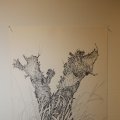 IMG_1396610