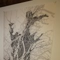 IMG_1396617