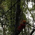 IMG_1398050