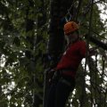 IMG_1398052