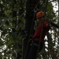 IMG_1398053